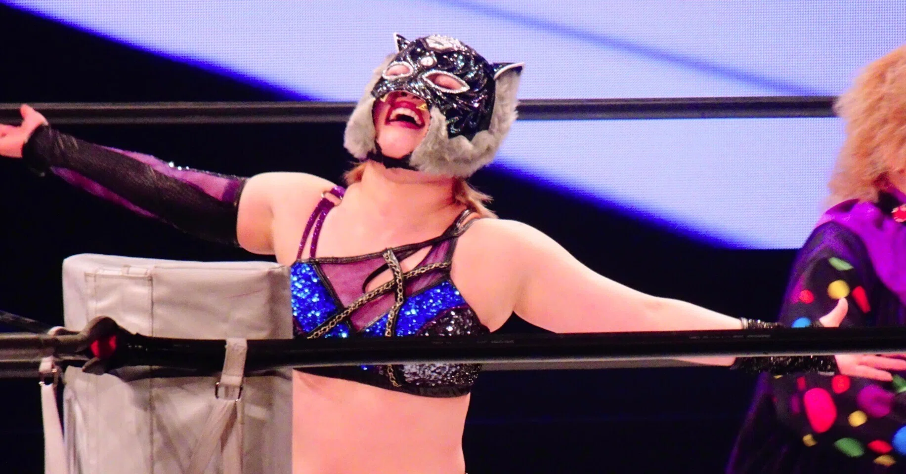 2025最新女子プロレス事情 観戦方法篇｜まこっちゃん
