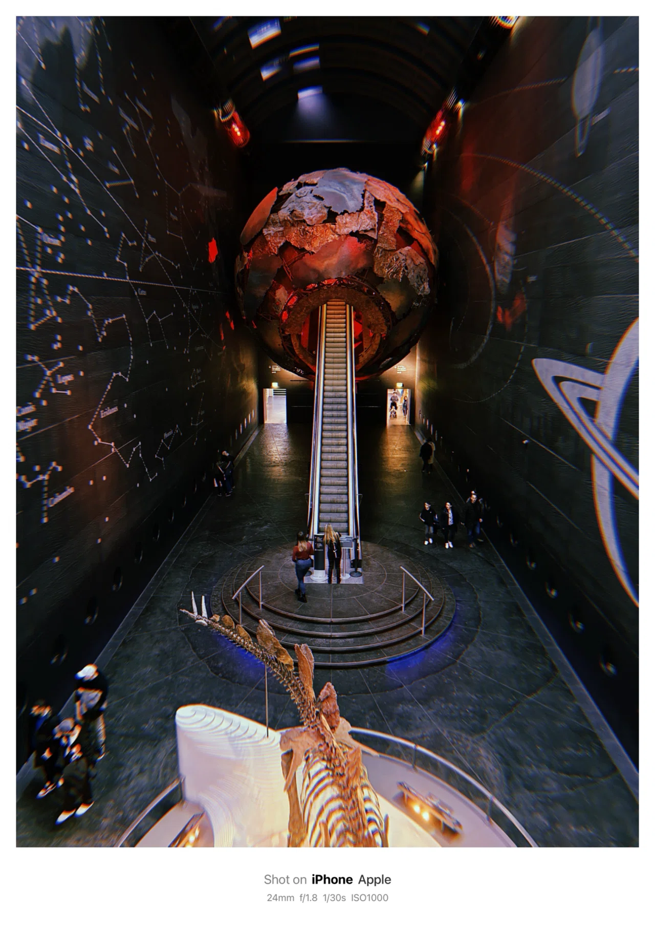 Natural History Museum / ロンドン自然史博物館(London, UK)｜N.Hagimoto