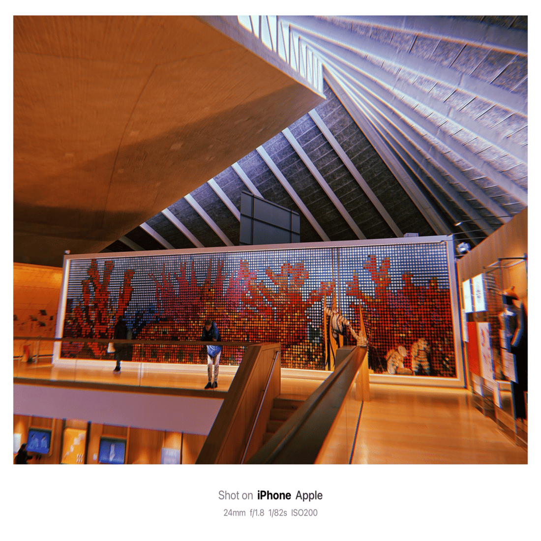 the Design Museum / デザイン・ミュージアム(London, UK)｜N.Hagimoto