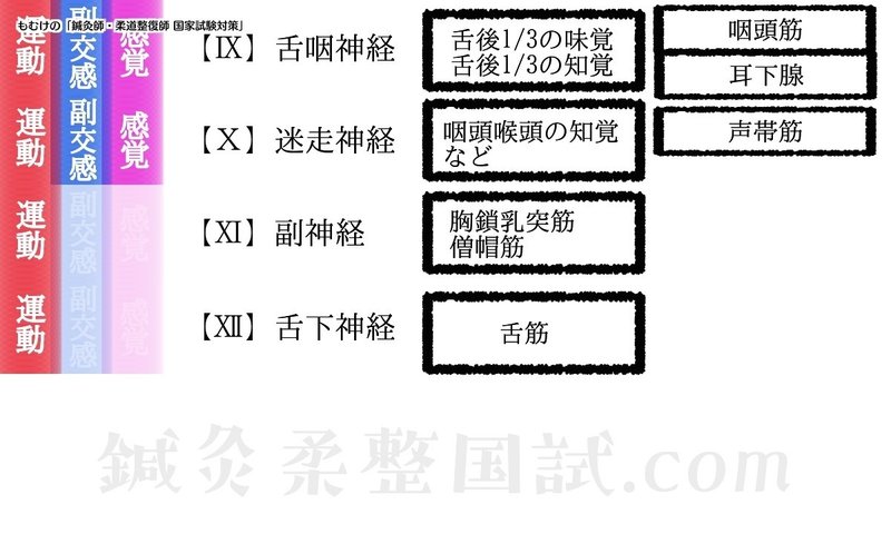 解剖学 図解イラストとゴロあわせで簡単 脳神経の覚え方完全攻略ガイド 森元塾 国家試験対策 Note 解剖学 図解イラストとゴロあわせで簡単 脳神経の覚え方完全攻略ガイド 森元塾 国家試験対策 Note
