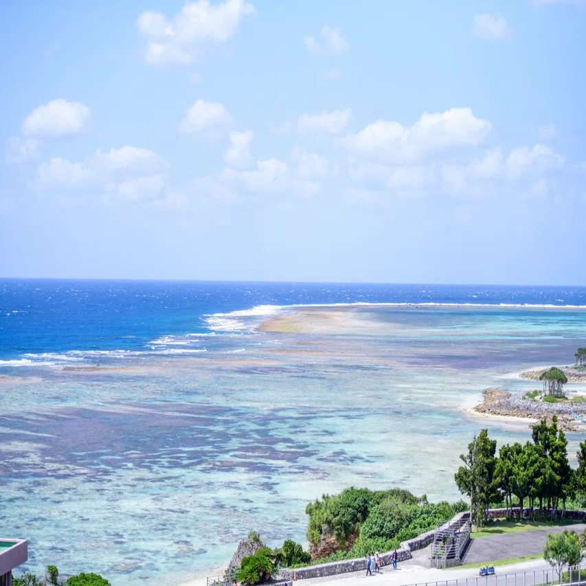 高知とサンゴ🪸〜サンゴの日〜｜桂浜水族館 公式