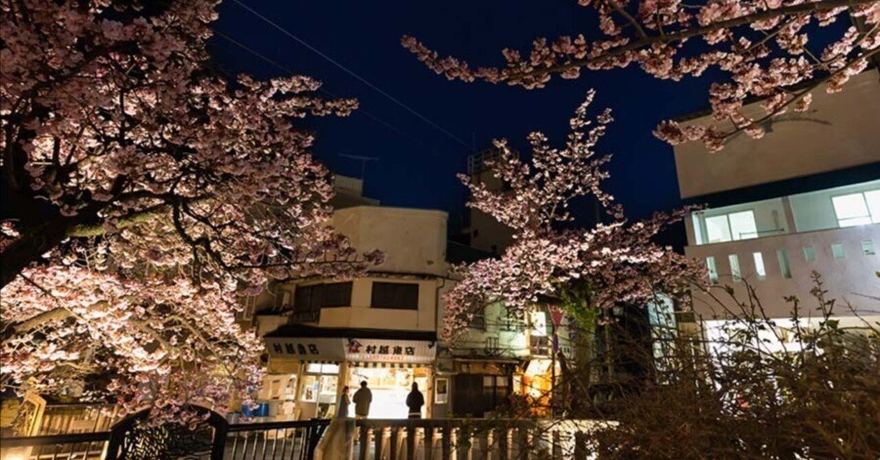 あたみ桜で夜桜さんぽ | Z f + ETZ21 Pro+ TAMRON20-40mm｜borichan