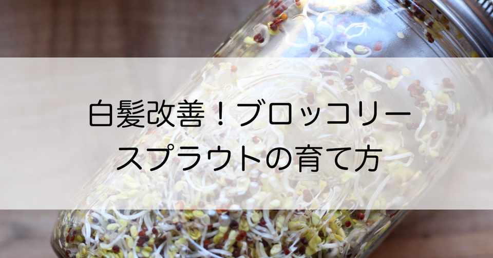 白髪改善 ブロッコリースプラウト メイソンジャーでの育て方 Minako ヘルスコーチ Note