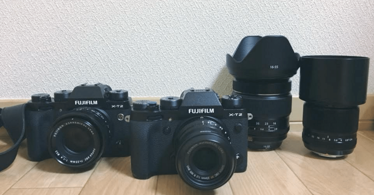 📷私とカメラ（独立〜富士フイルム編）（Photo and Cinema Bear