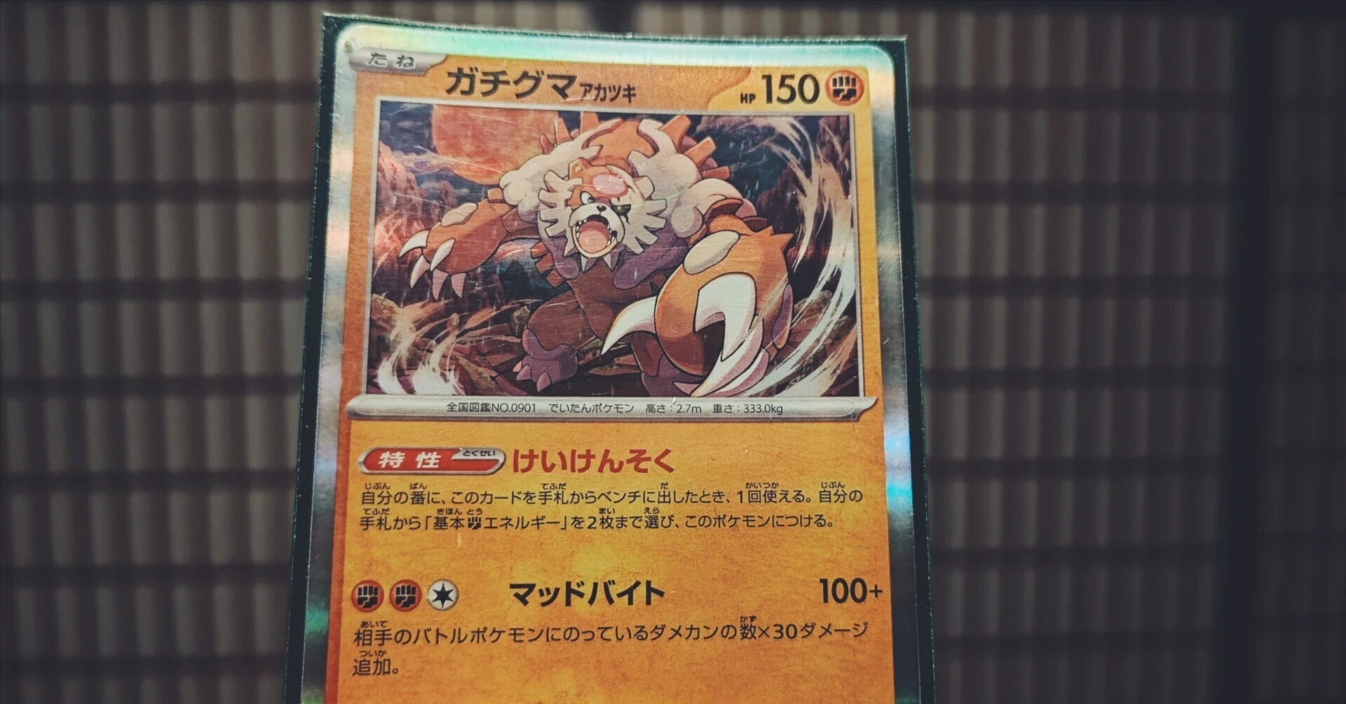 ガチグマ算｜大見謝