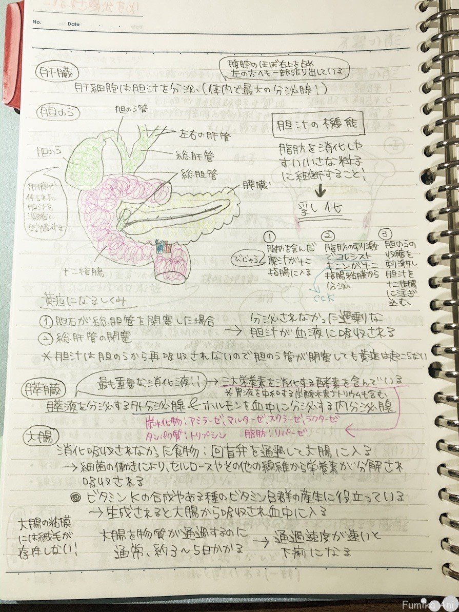 わたしなりの管理栄養士国家試験勉強法｜Ani