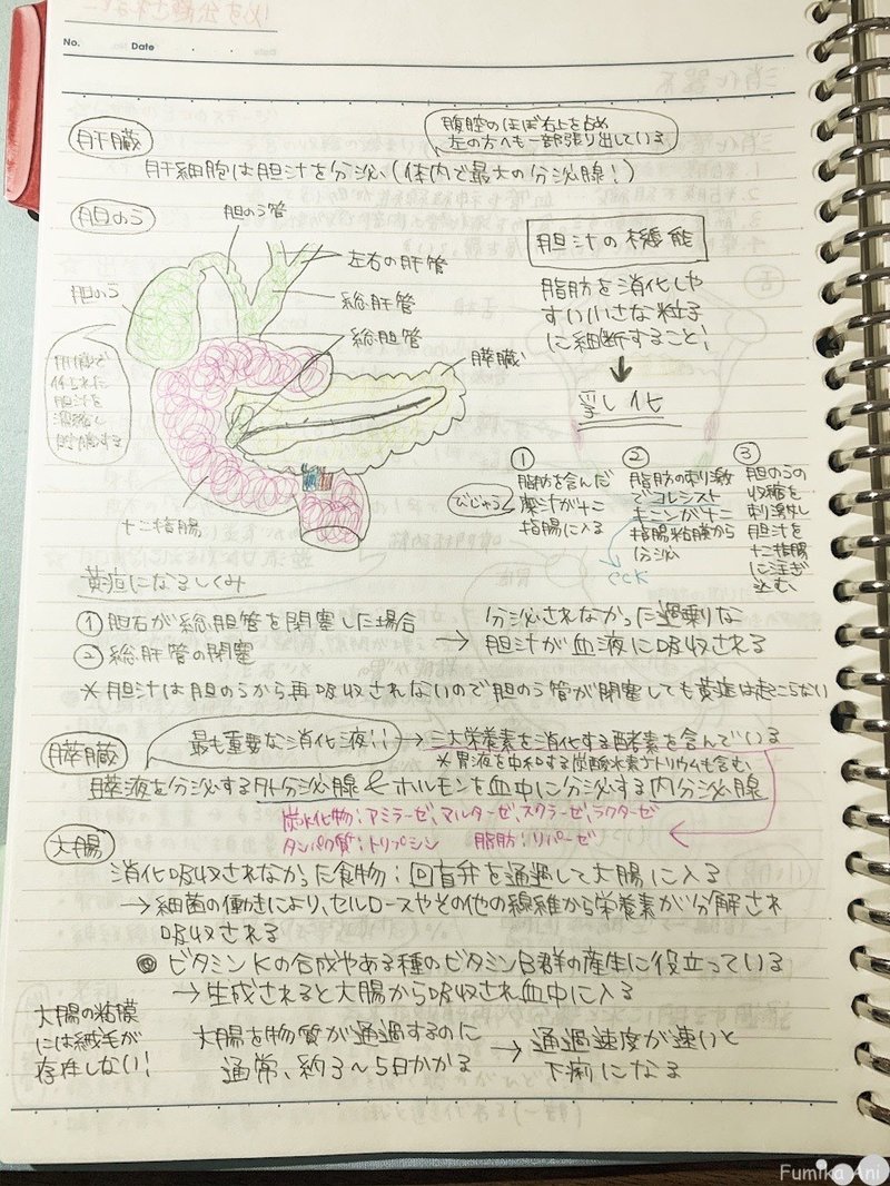 わたしなりの管理栄養士国家試験勉強法 Fumika Ani Note