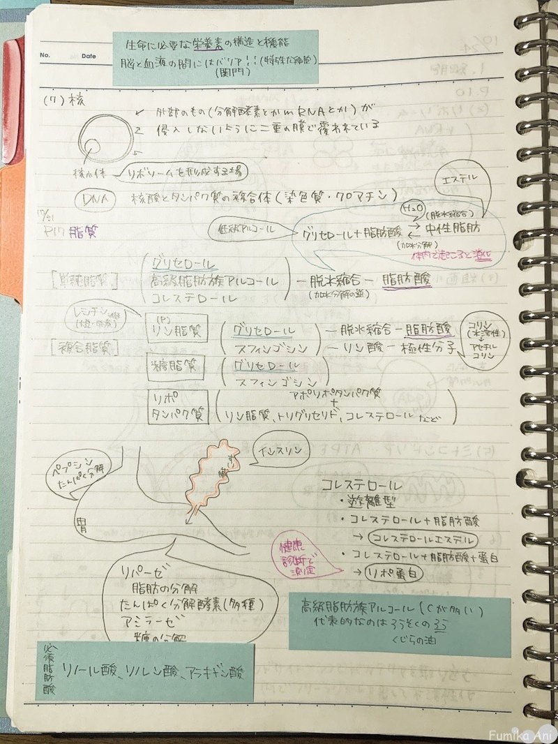 わたしなりの管理栄養士国家試験勉強法 Fumika Ani Note
