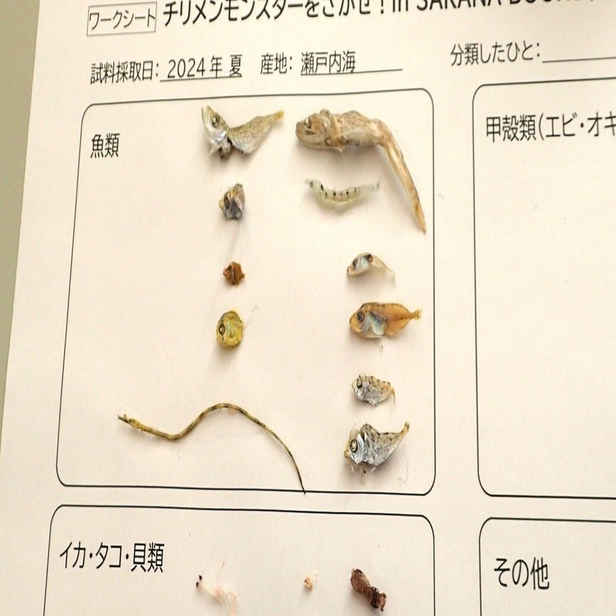 開催レポート】『チリメンモンスターをさがせ！』大人のサイエンス