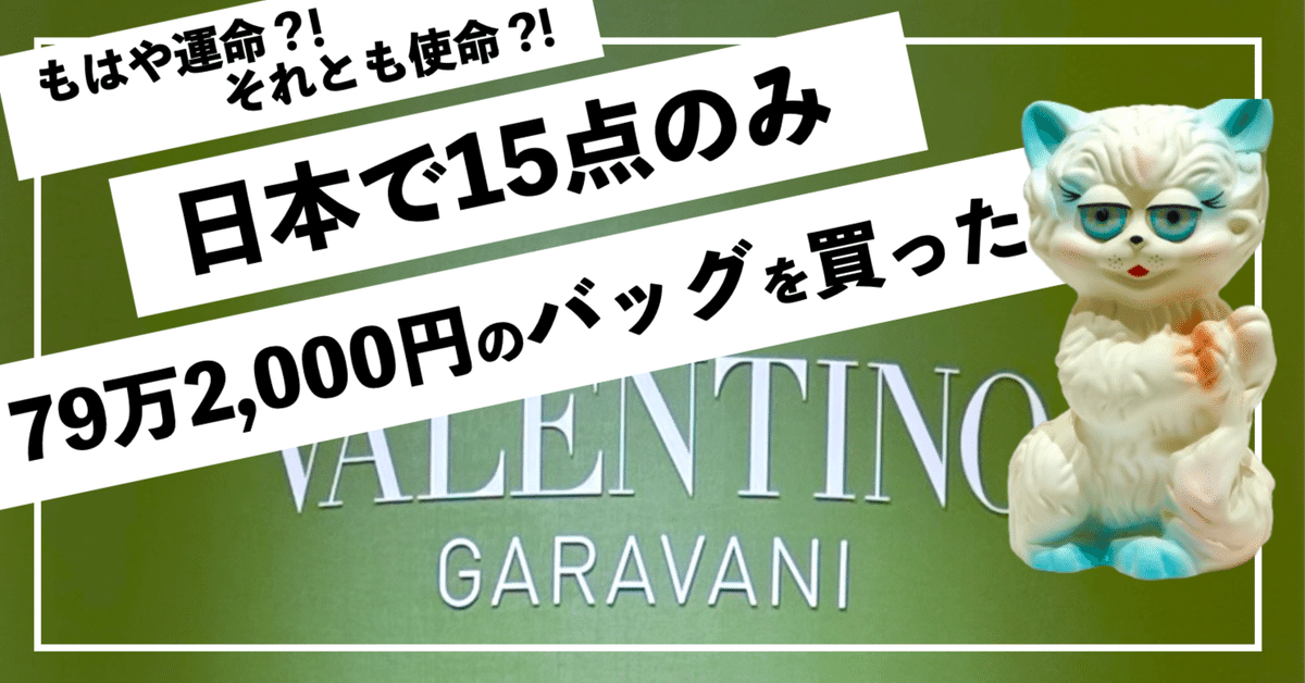 もはや使命】人生最高額のお買い物をしてきました🐈【日本で15点
