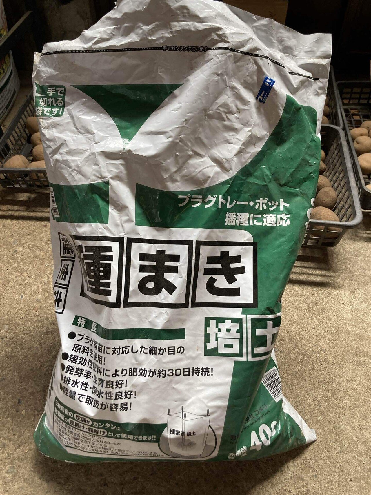長ネギの種を蒔こう！育苗編1～はたけの様子20250305その7」｜はたけ