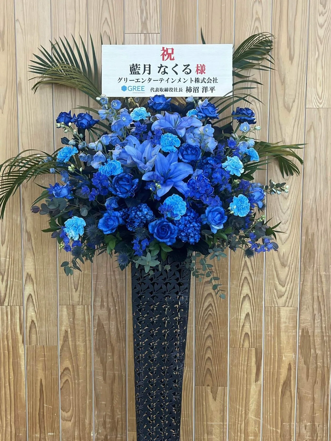 3/1 藍月なくるBirthdayLIVE2025 概念／質量 に行ってきたよ｜かごめ