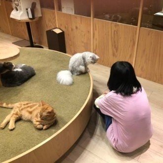 ラミパス ラミパス ルルルル 林檎 Note