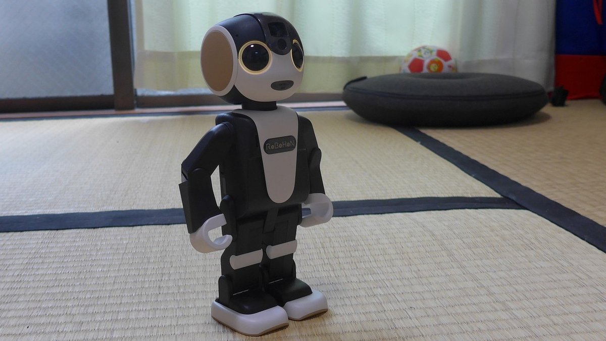 Hirono コンパニオン