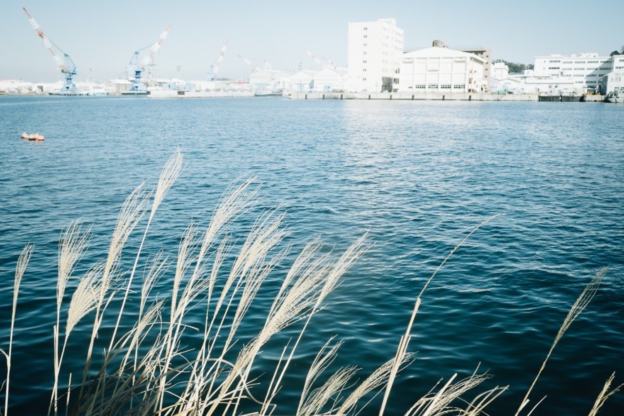 医師限定街コンとその実態的な経験談 Dr Hello Note