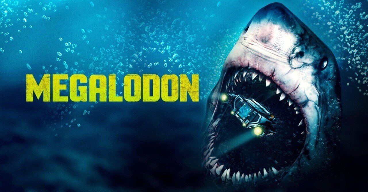 Freediving】【フロリダ生活】 巨大鮫・メガロドンの歯の化石が