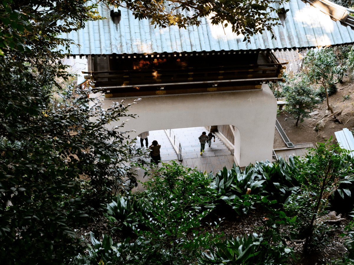 早春の江ノ島（Nikon Zf + Ai AF NIKKOR 35mm F2D）｜片瀬