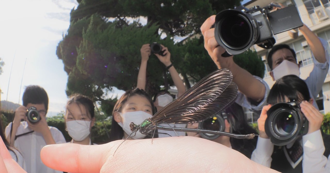 身近な自然が特別に-女子大生の昆虫写真道＃2 ～ミクロな世界に