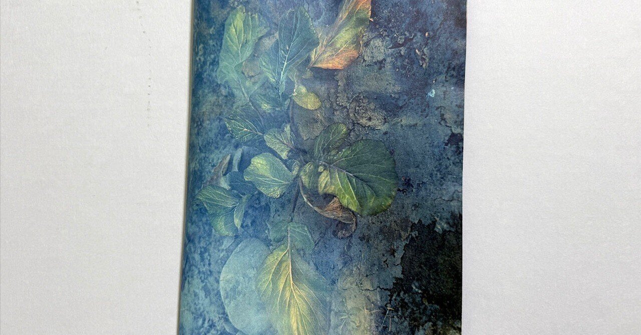 【希少】Sediment / 横田大輔 希少】Sediment / 横田大輔 Sediment-Daisuke Yokota 横田大輔