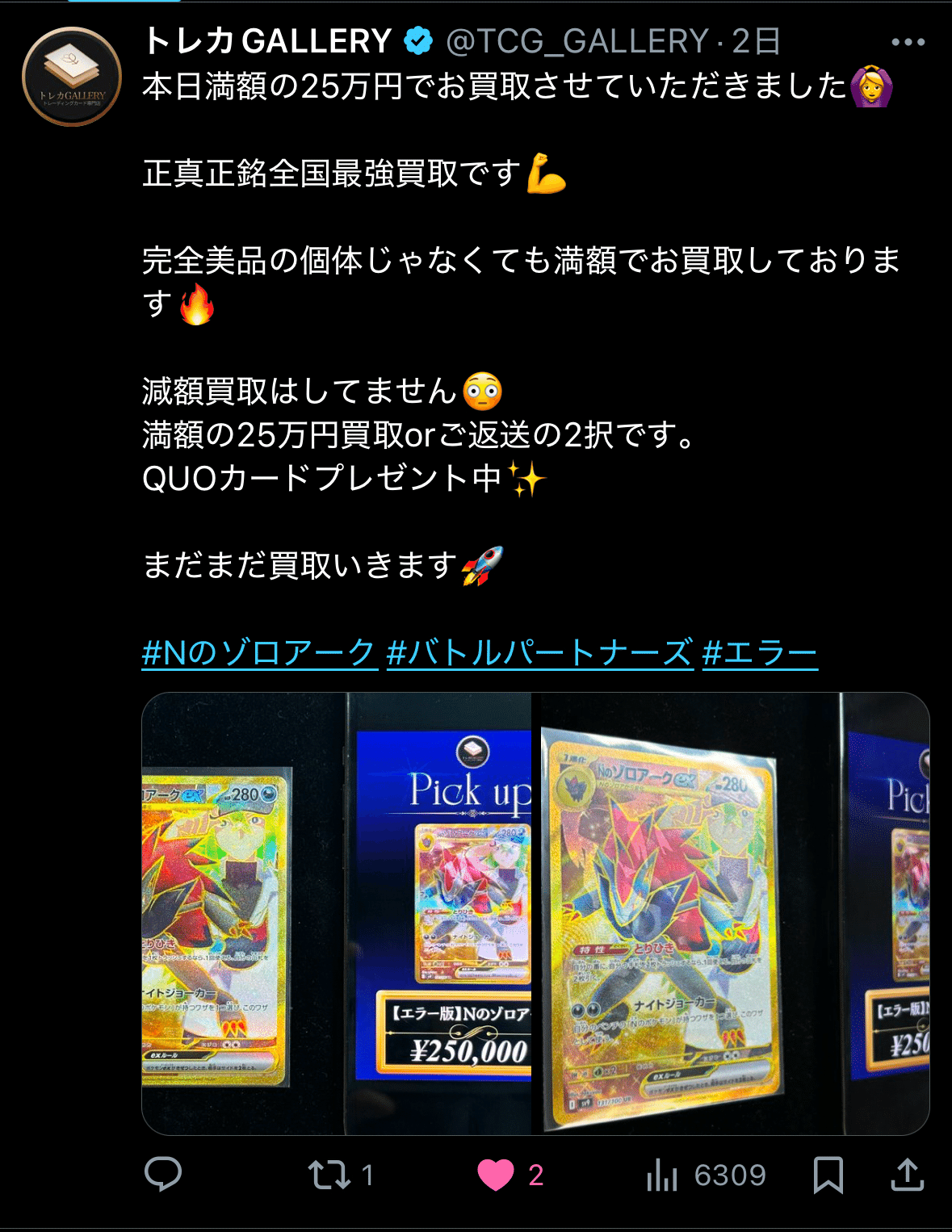 13】Nのゾロアーク エラー版 最新動向｜dede