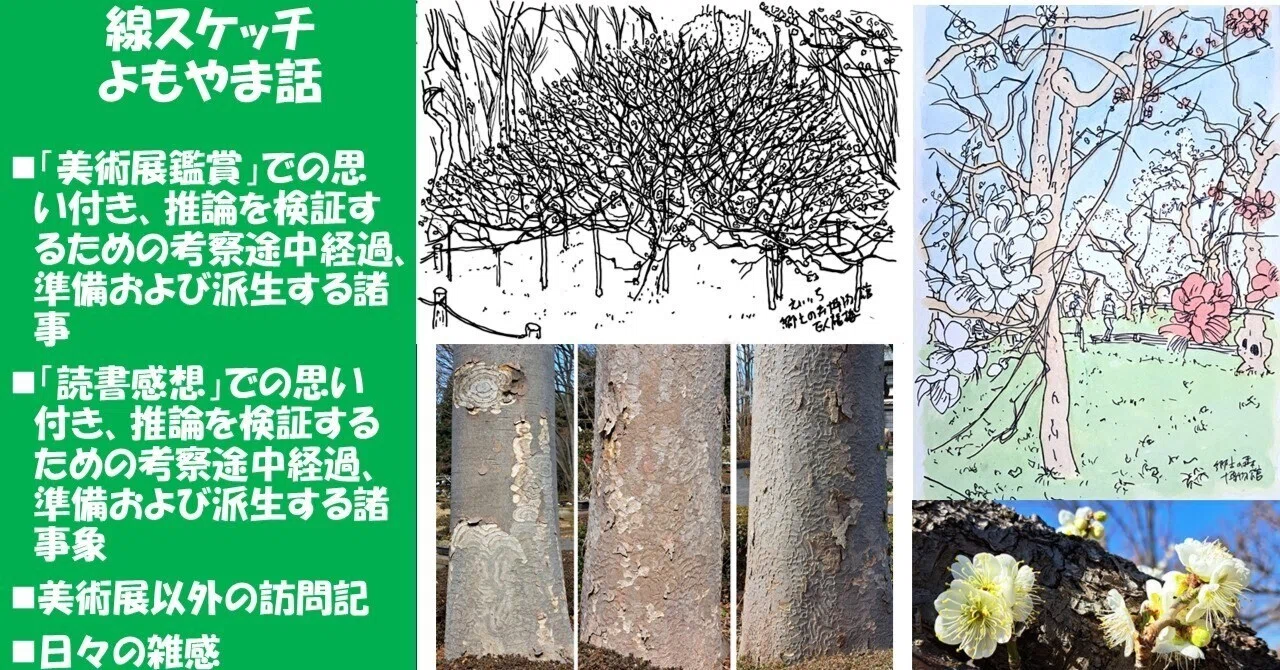 2025梅スケッチ＞郷土の森博物館：若木の早咲き園芸種確認、仙台ルーツ