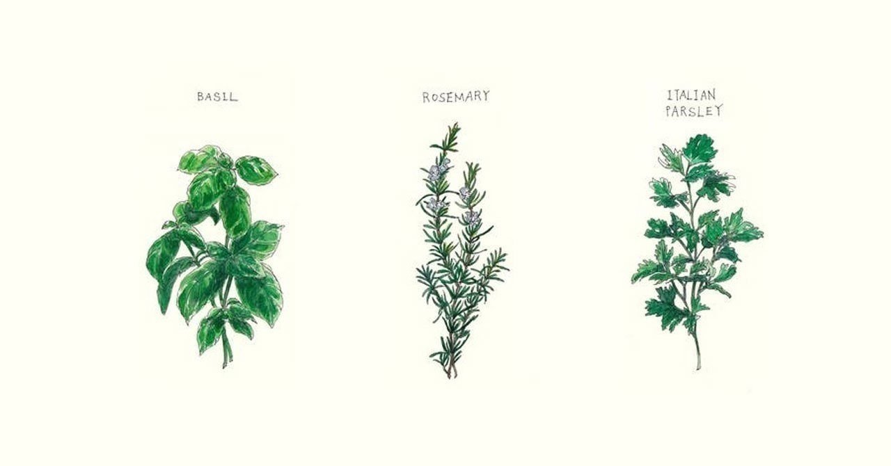 今日の格言は ラテン語のことわざ えりキリン Note