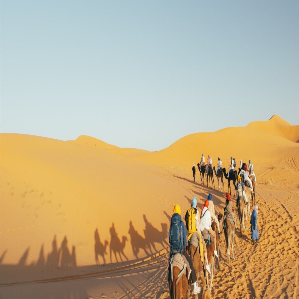 サハラ砂漠に行く、カタツムリを食べる 【モロッコ🇲🇦マラケシュ