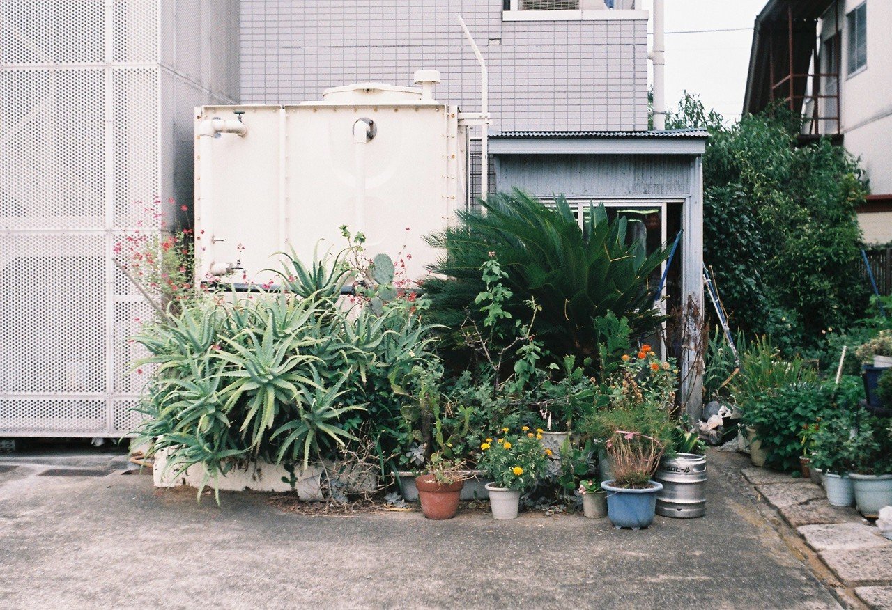 Industar 26M 50mm F2.8- フィルムカメラレビュー｜Hisa Foto