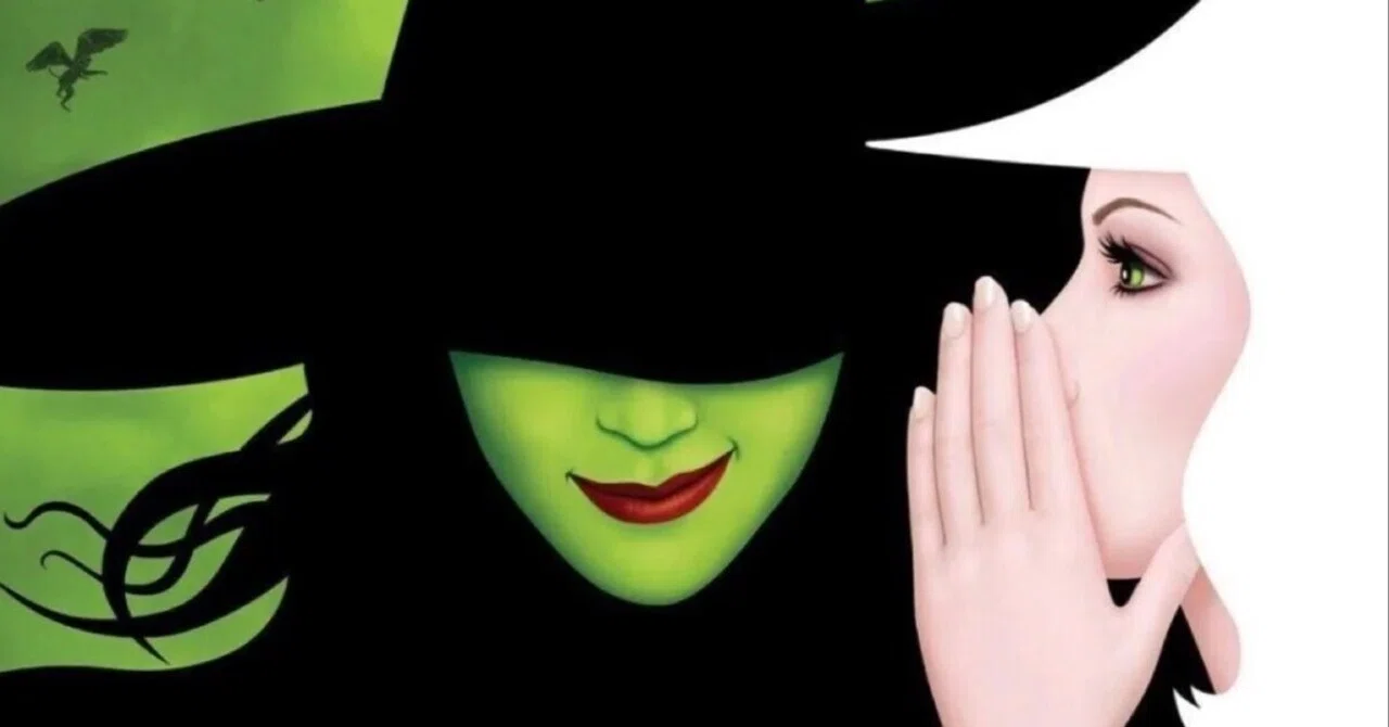 wicked For Good ピクチャーレコード 2枚組 ウィキッド アリアナ