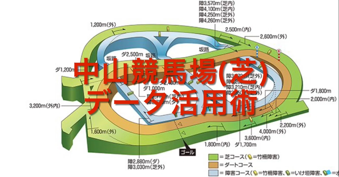 中山 競馬 場 特徴
