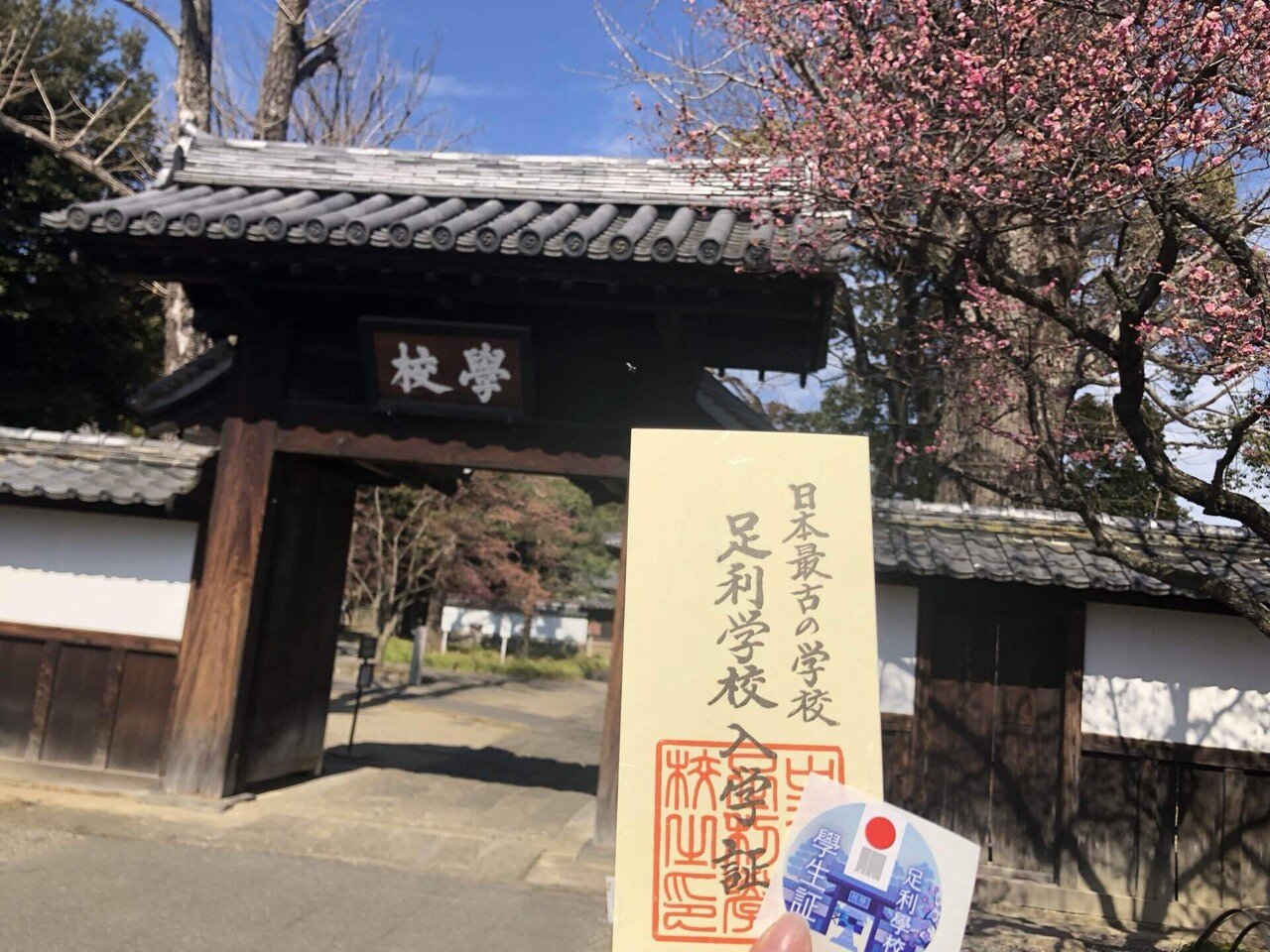 足利観光RTAレポ｜ぐみ汰