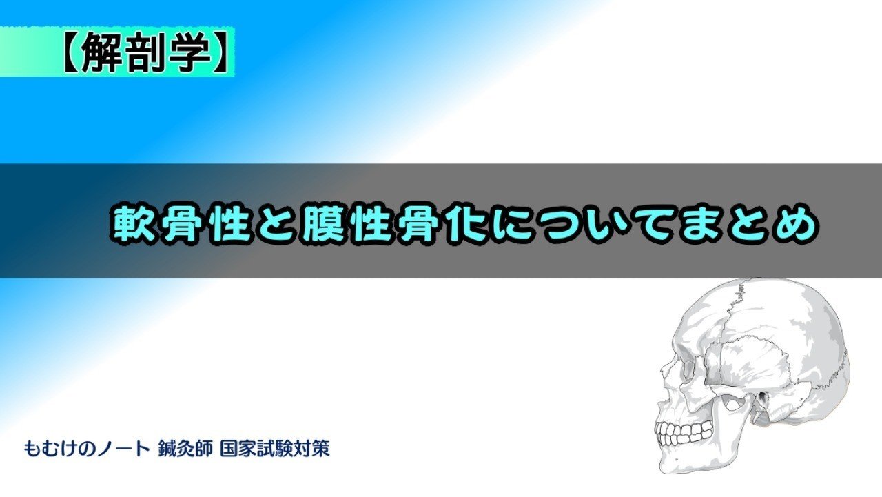 解剖学 図解 イラスト とゴロで簡単 軟骨性骨化と膜性骨化 まとめ の覚え方 森元塾 国家試験対策 Note 解剖学 図解 イラスト とゴロで簡単 軟骨性骨化と膜性骨化 まとめ の覚え方 森元塾 国家試験対策 Note