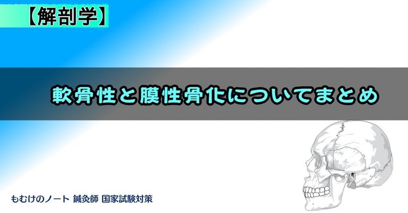 解剖学 図解 イラスト とゴロで簡単 軟骨性骨化と膜性骨化 まとめ の覚え方 森元塾 国家試験対策 Note