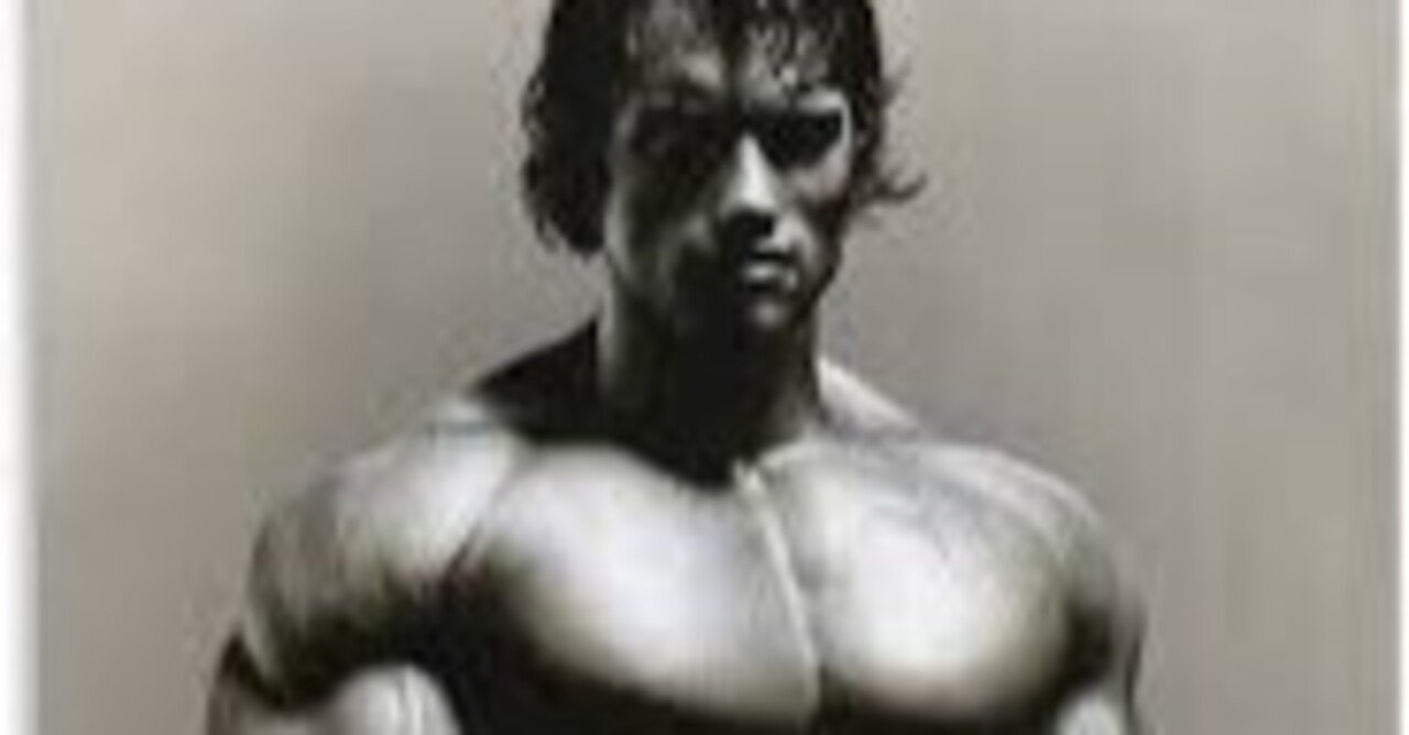 1/6 アーノルド・シュワルツェネッガー ヘッド 男性素体に 検