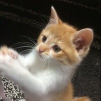 ど文系ど素人のitコーディネータ合格体験記 渡邉恵士老 けいちゃん 北海道の妖怪好き Note