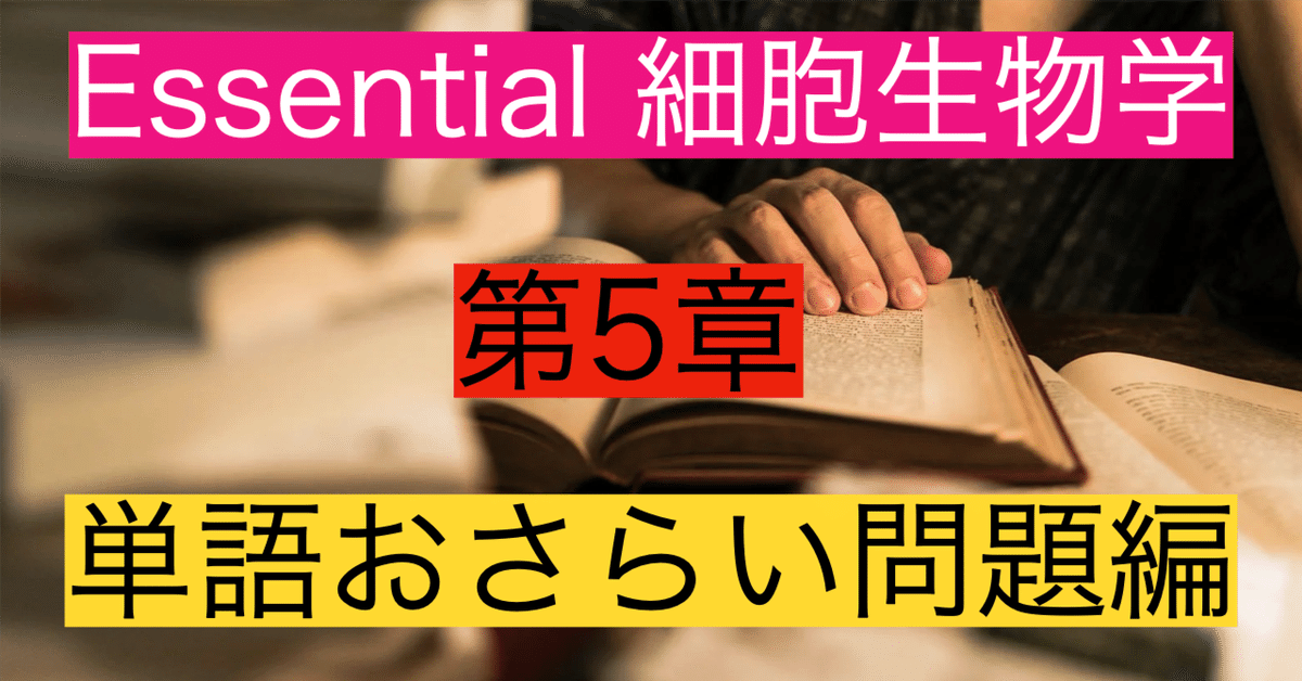 Essential細胞生物学第5章「単語おさらい問題」｜学問道場