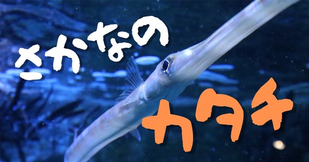 ホモロジー代数入門　岩井斉良 ホモロジー代数入門 岩井斉良 ホモロジー代数入門 (サイエンス