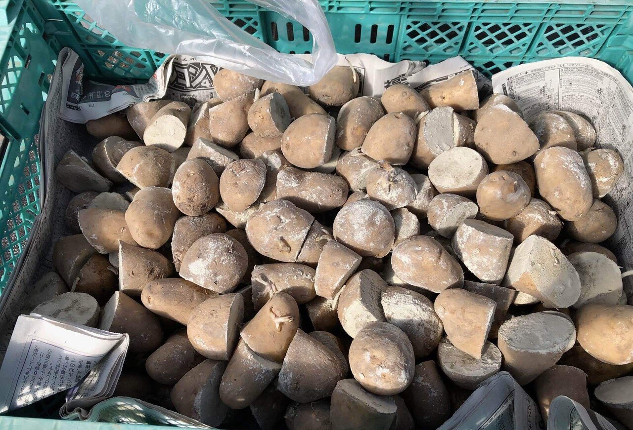 ハンドメイド畑作業用手押し畝切り