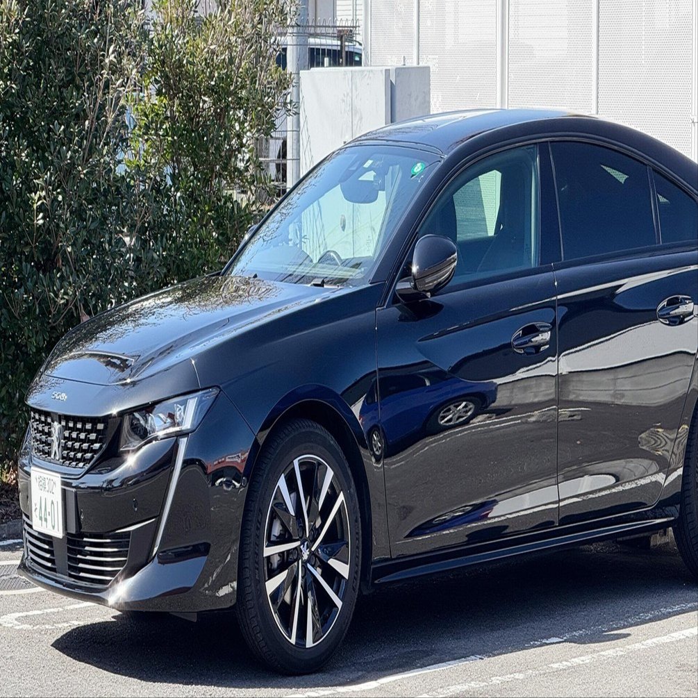 テリー こんな素敵な最高の車だった508｜shinichiro_iwao