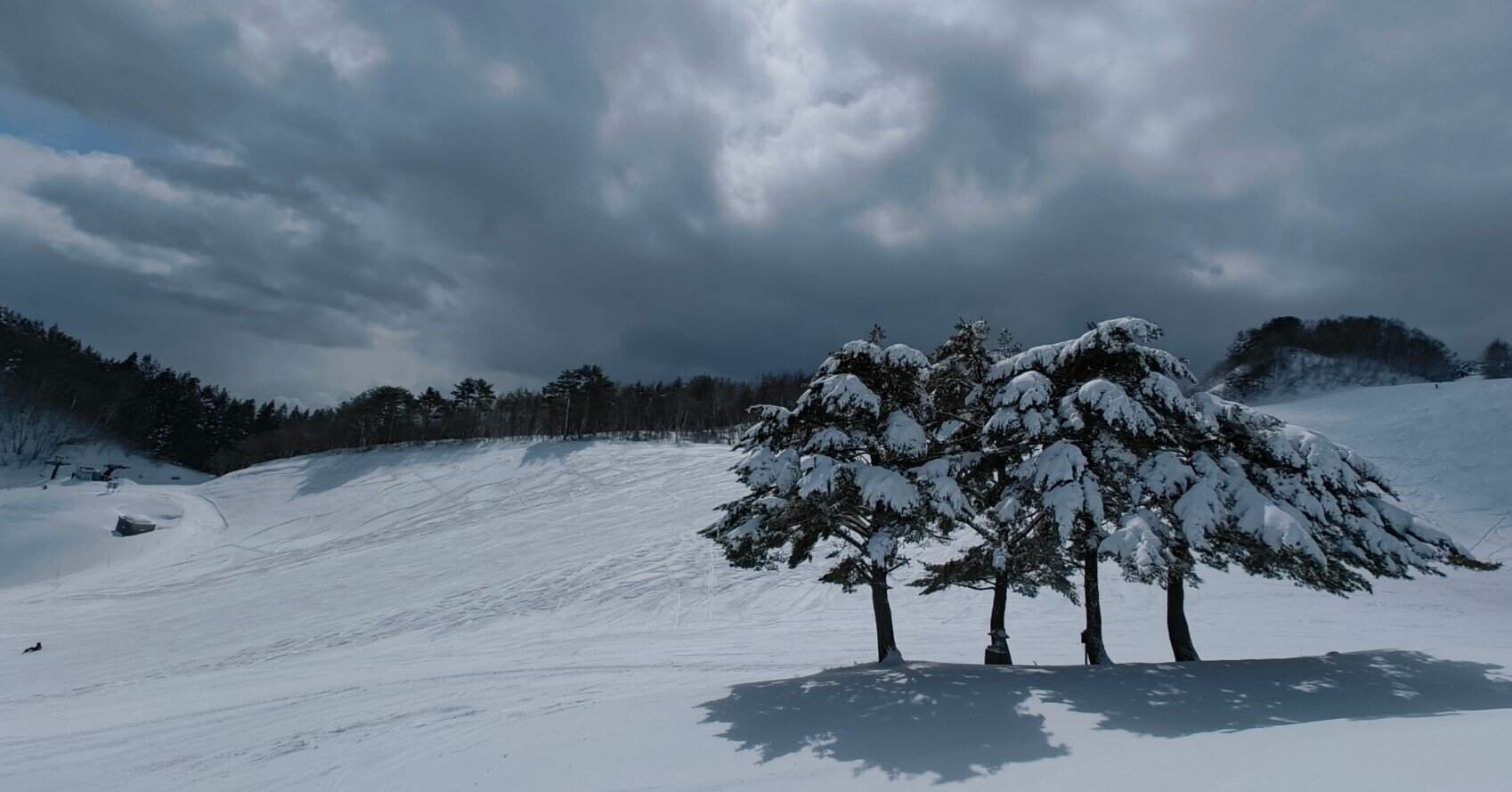 こまさん専用!DC-TZ99他の方はご購入出来ません。 こまさん専用!DC こまさん専用!DC-TZ99他の方はご購入出来ません。 こまさん専用!DC