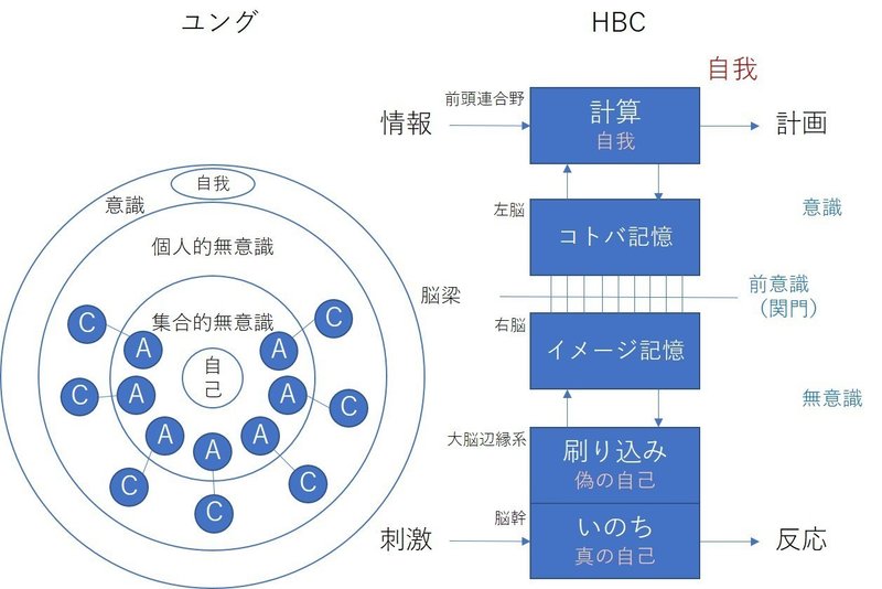 200110_ユングとHBCの図
