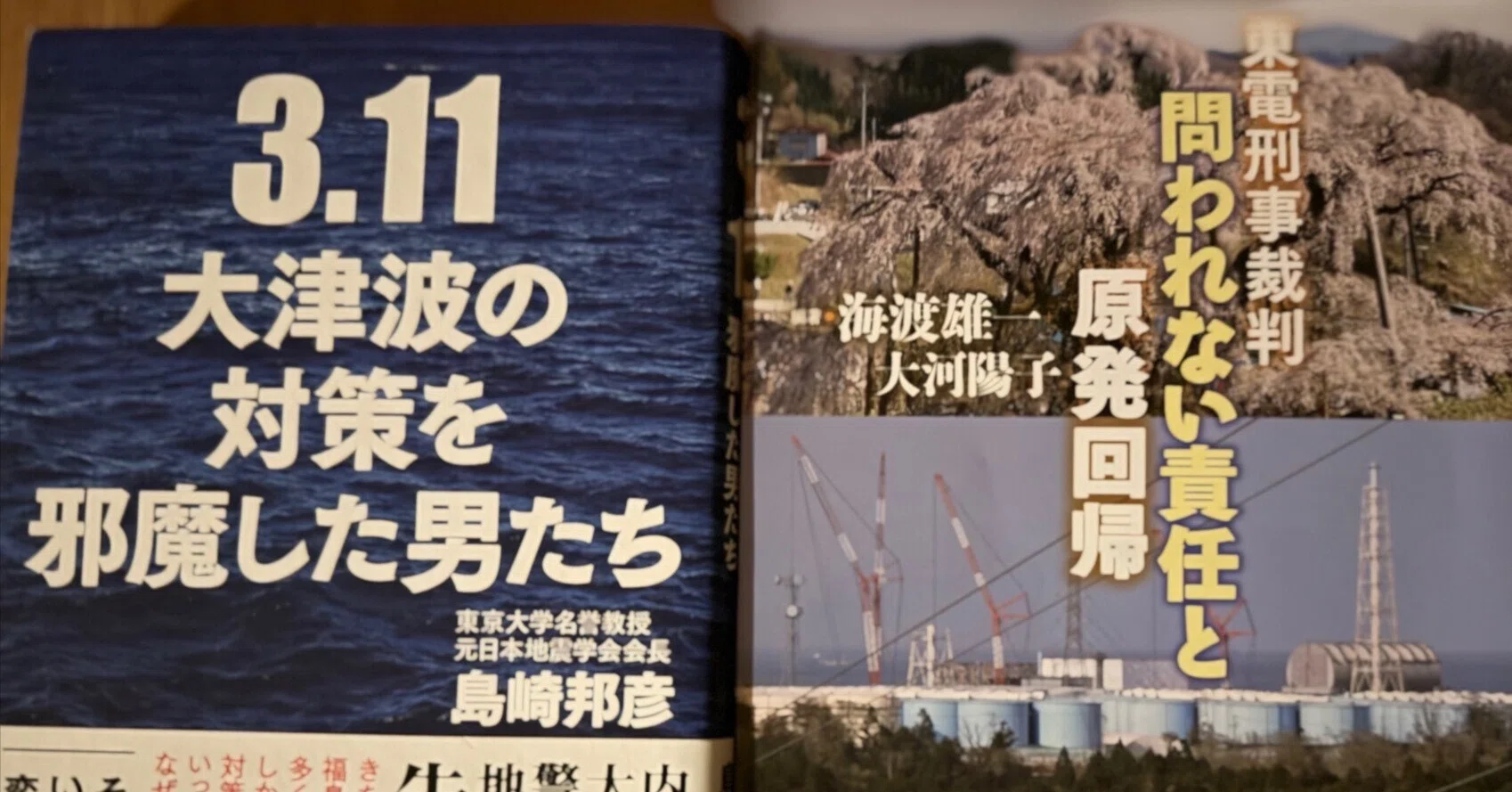 津波対策を先延ばした責任を、最高裁が見逃した 東京電力福島第一原発