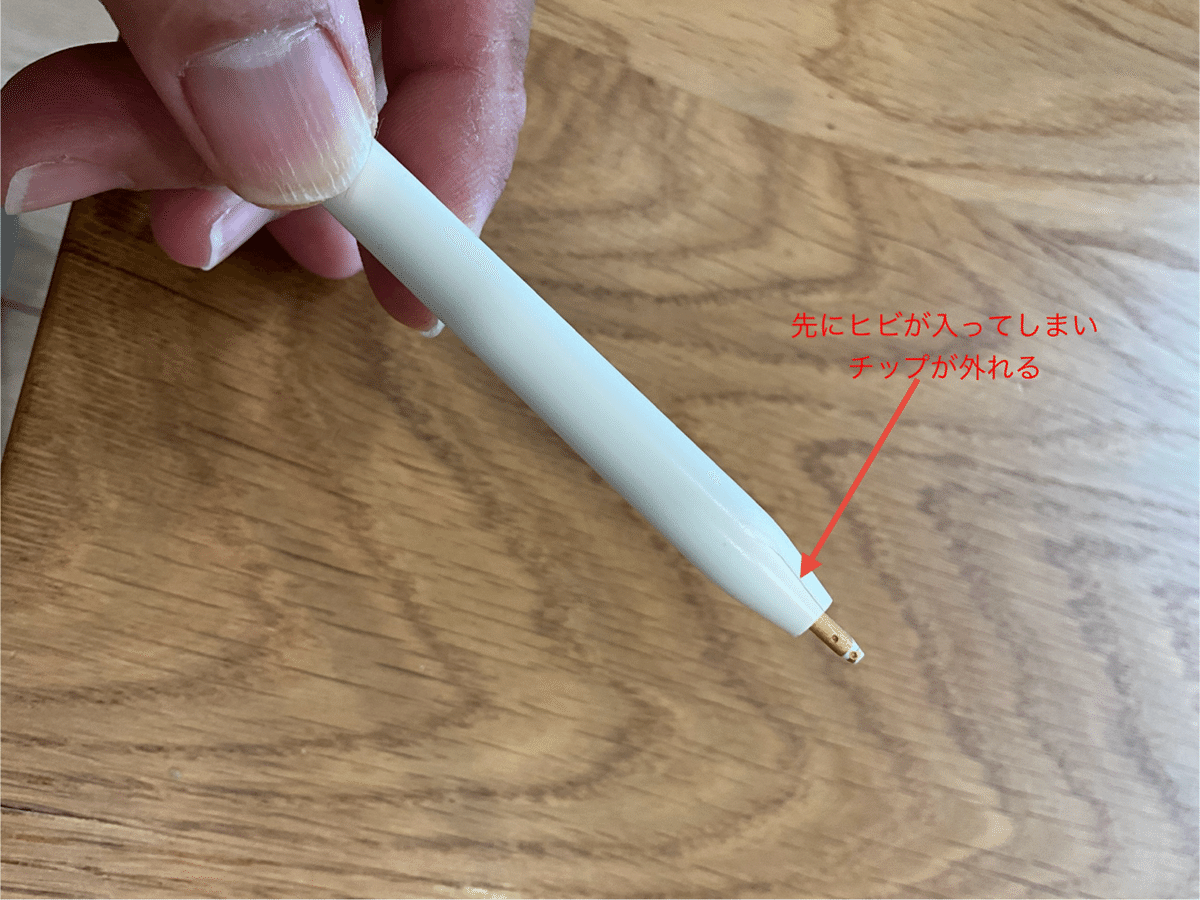 Serori 様 Apple Pencil (USB-C) 最新型（iPad Pro 12.9インチ