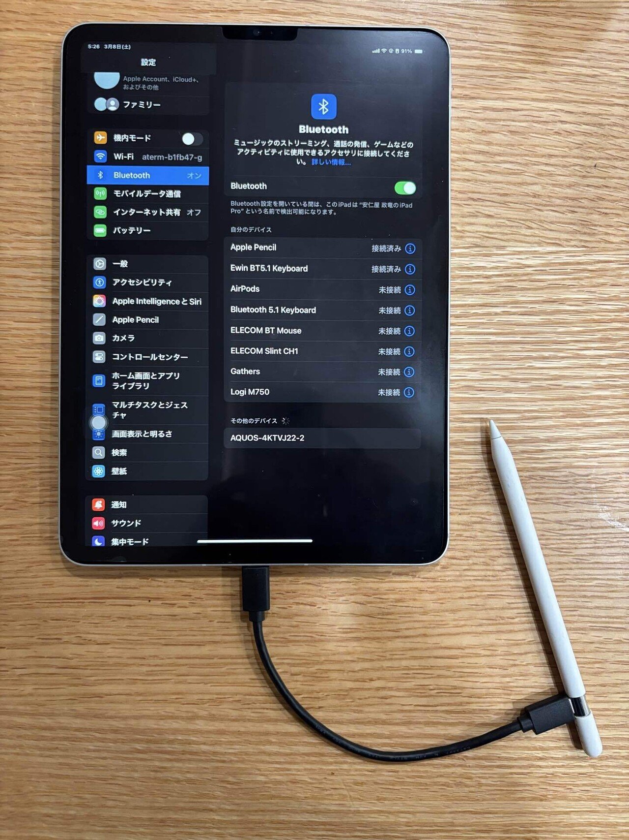 Apple Pencil（USB-C）購入レビュー｜アニヤマ
