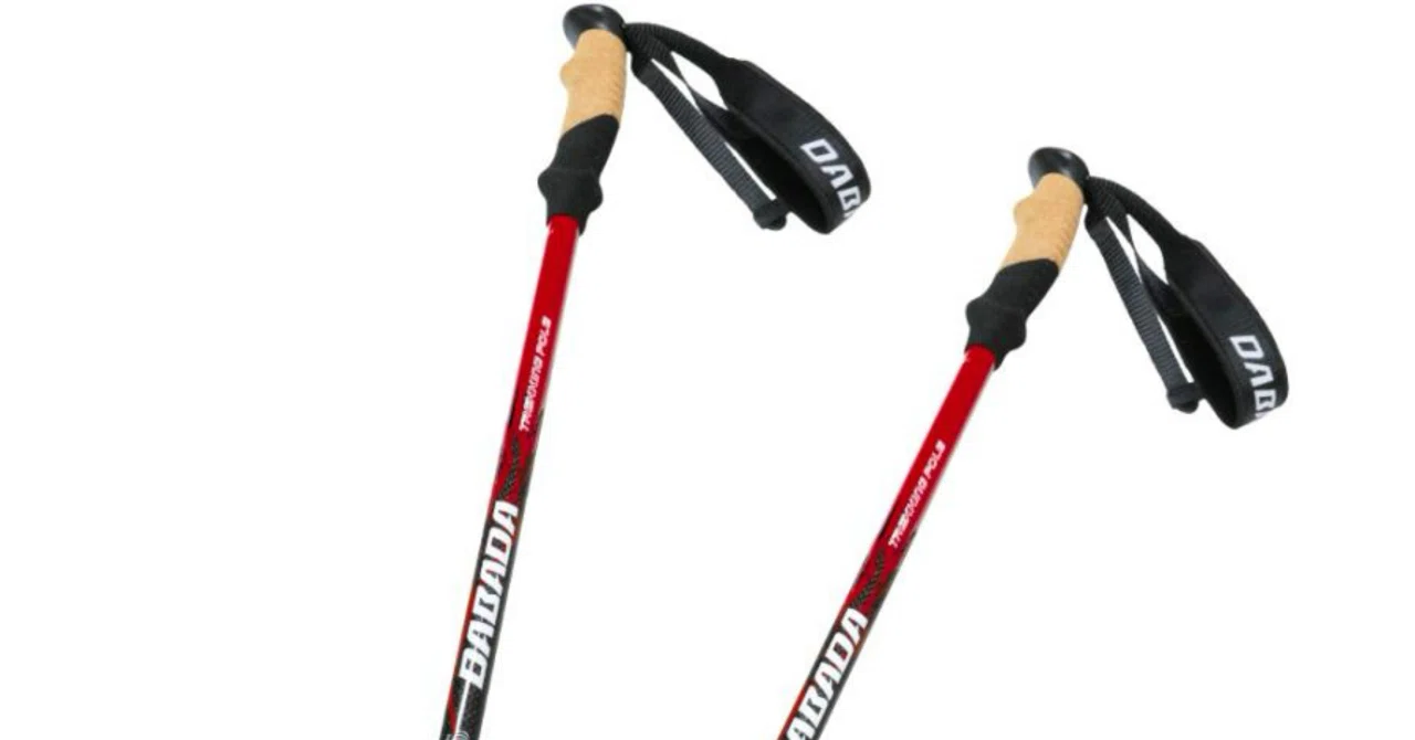 登山】「トレッキングポールは！2本！絶対買え！」｜限界リーマンたつき