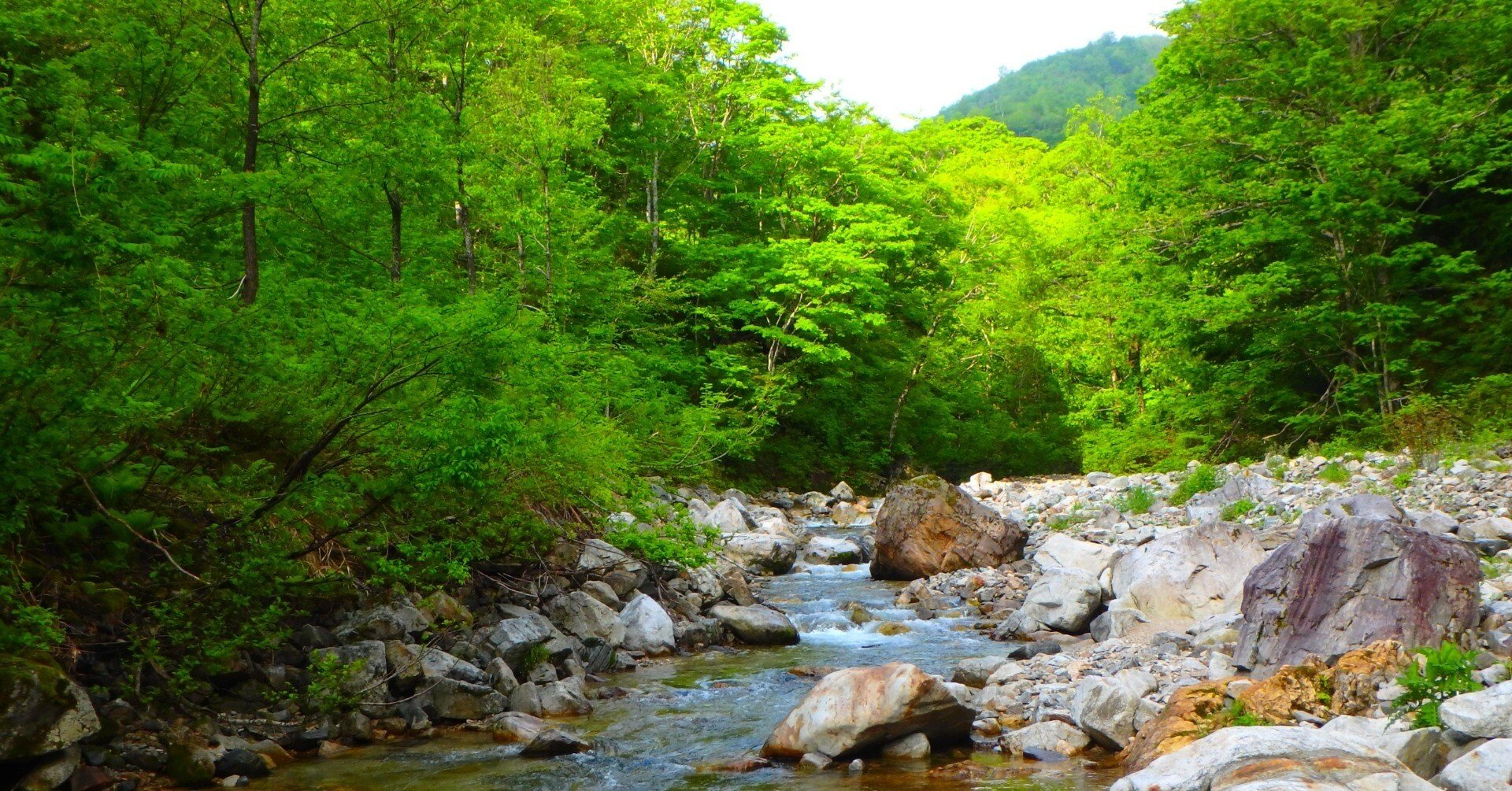 飛騨 万波川 渓流釣行｜SW工房