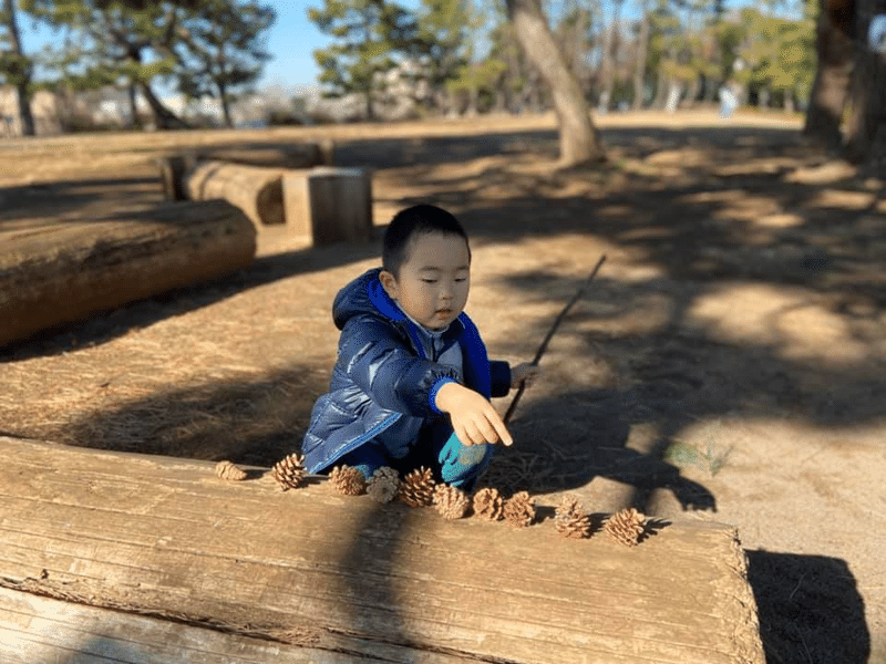 ホモ ルーデンス 1 3 みわっち Note