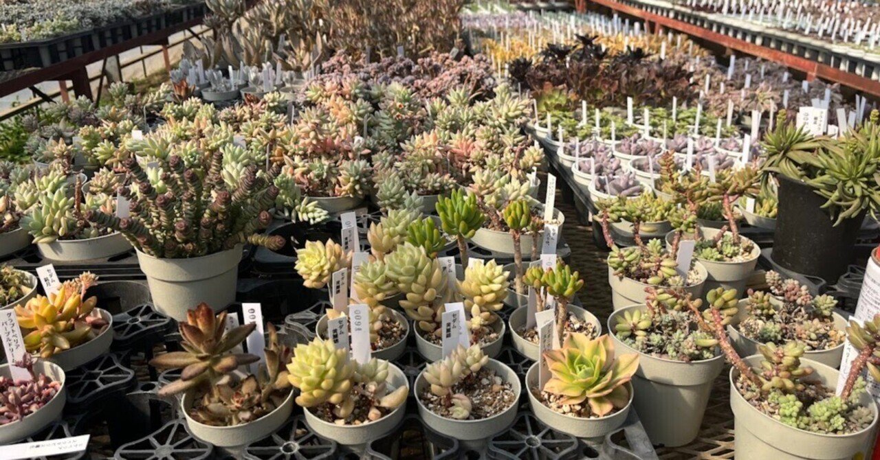 知識ゼロの個人事業主が、確定申告をストレスなくできるようになるまで|穴山悠理(ゆらり)