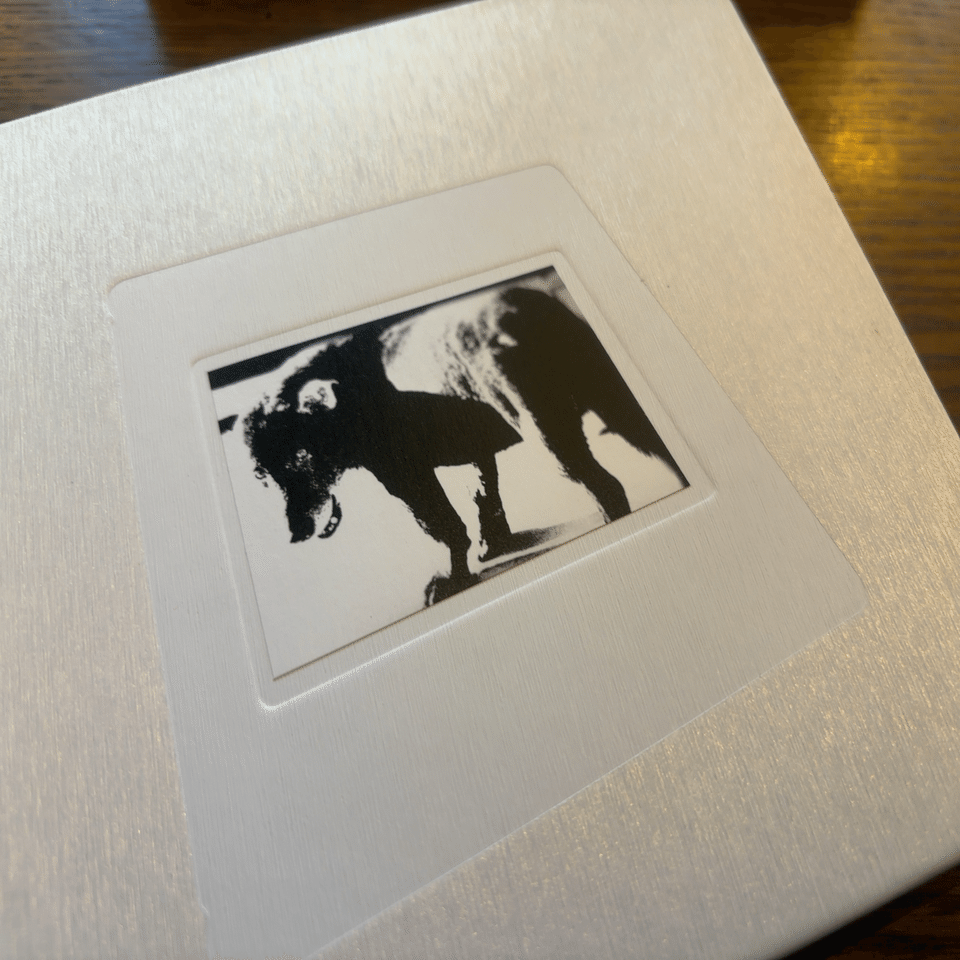 森山大道 写真集『DAIDO SLIDE』ゲットできた