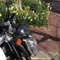 fz 1n
